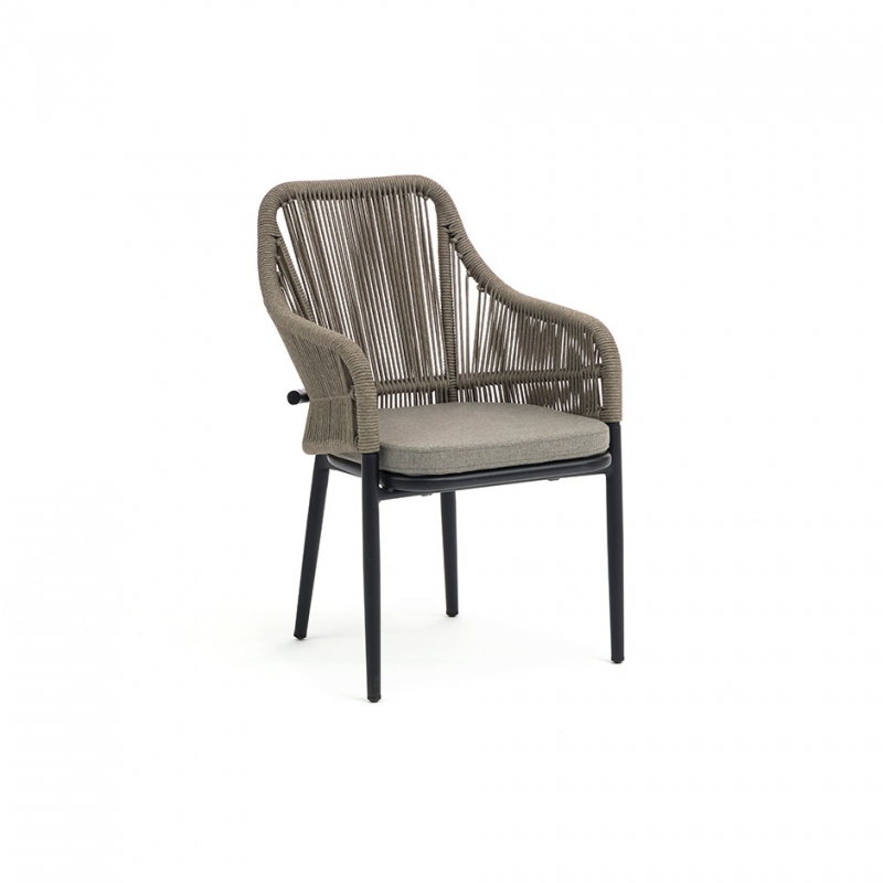 Birch C792-RP